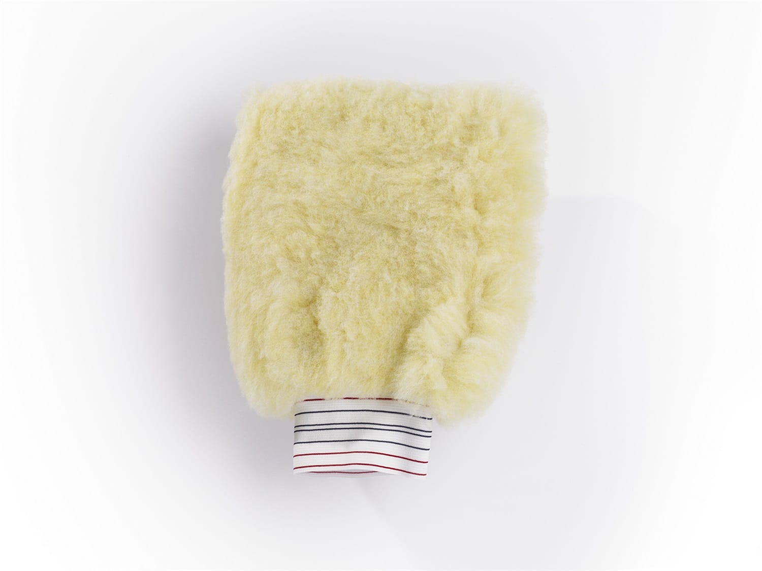 Wash Mitt