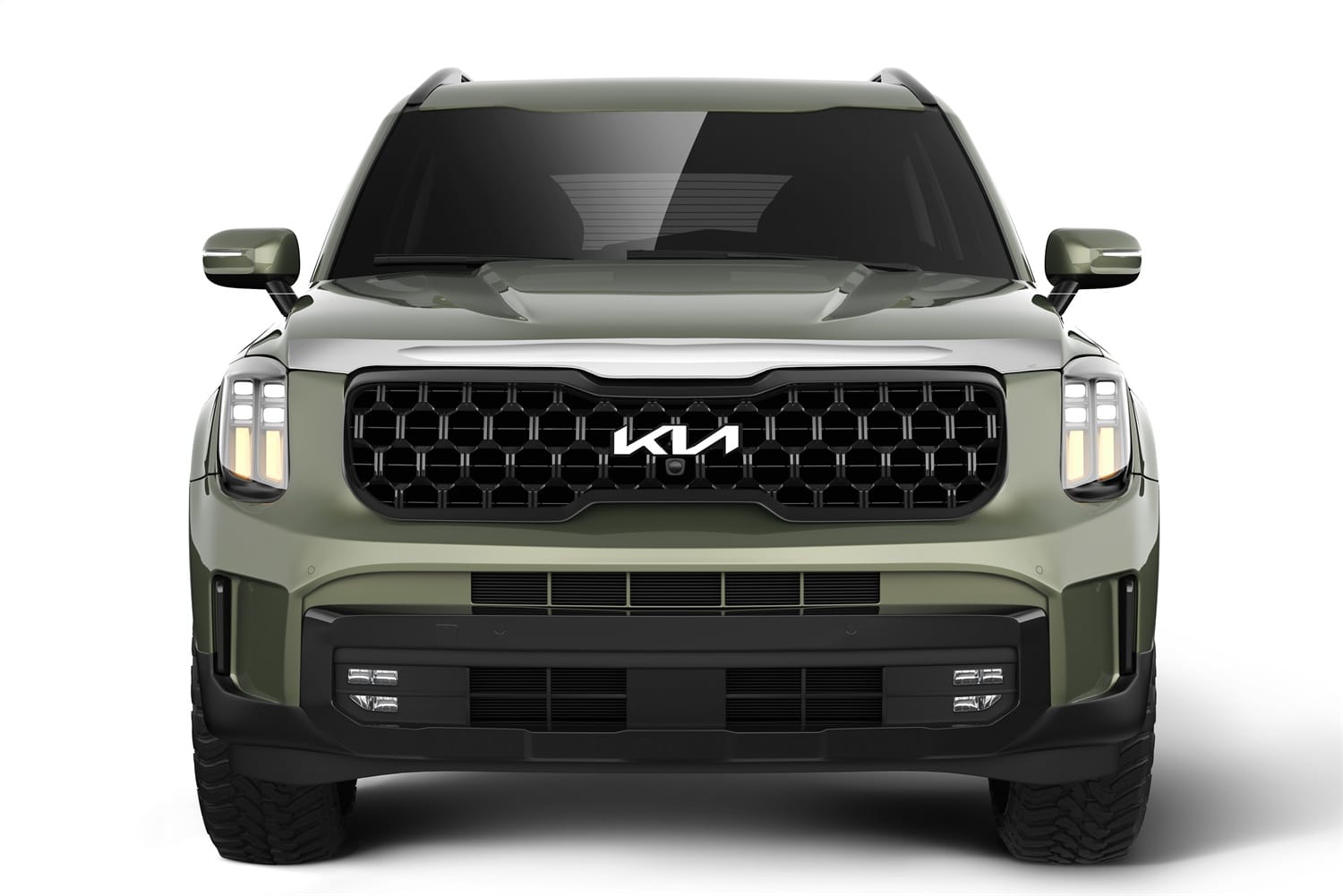 Aeroskin Hood Protector; Chrome