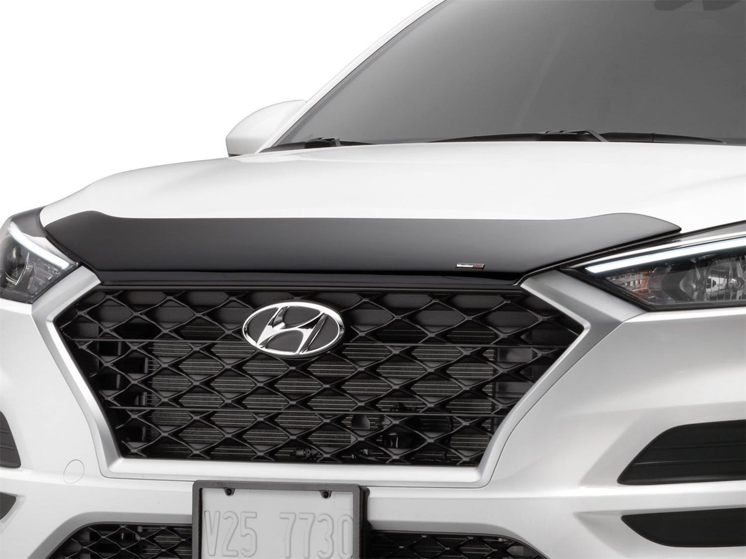 Low Profile Aerodynamic Hood Protector