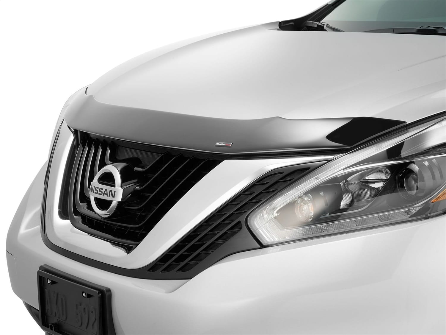 Low Profile Aerodynamic Hood Protector